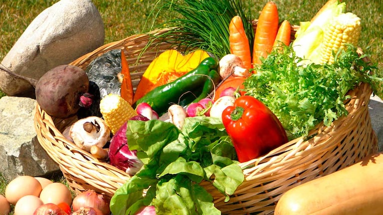 Ingredientes sanos y naturales (DYN)