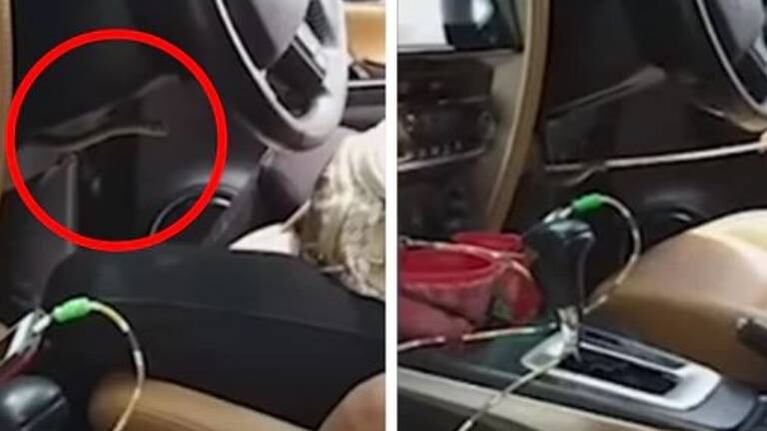 Ingresa a su auto y descubre una peligrosa serpiente escondida