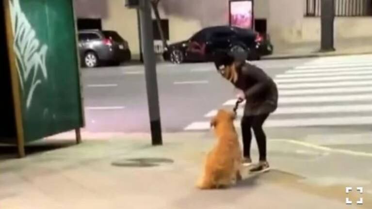 Intervino la Justicia y la mujer grabada en Recoleta pegándole a su perro podría perder la tenencia