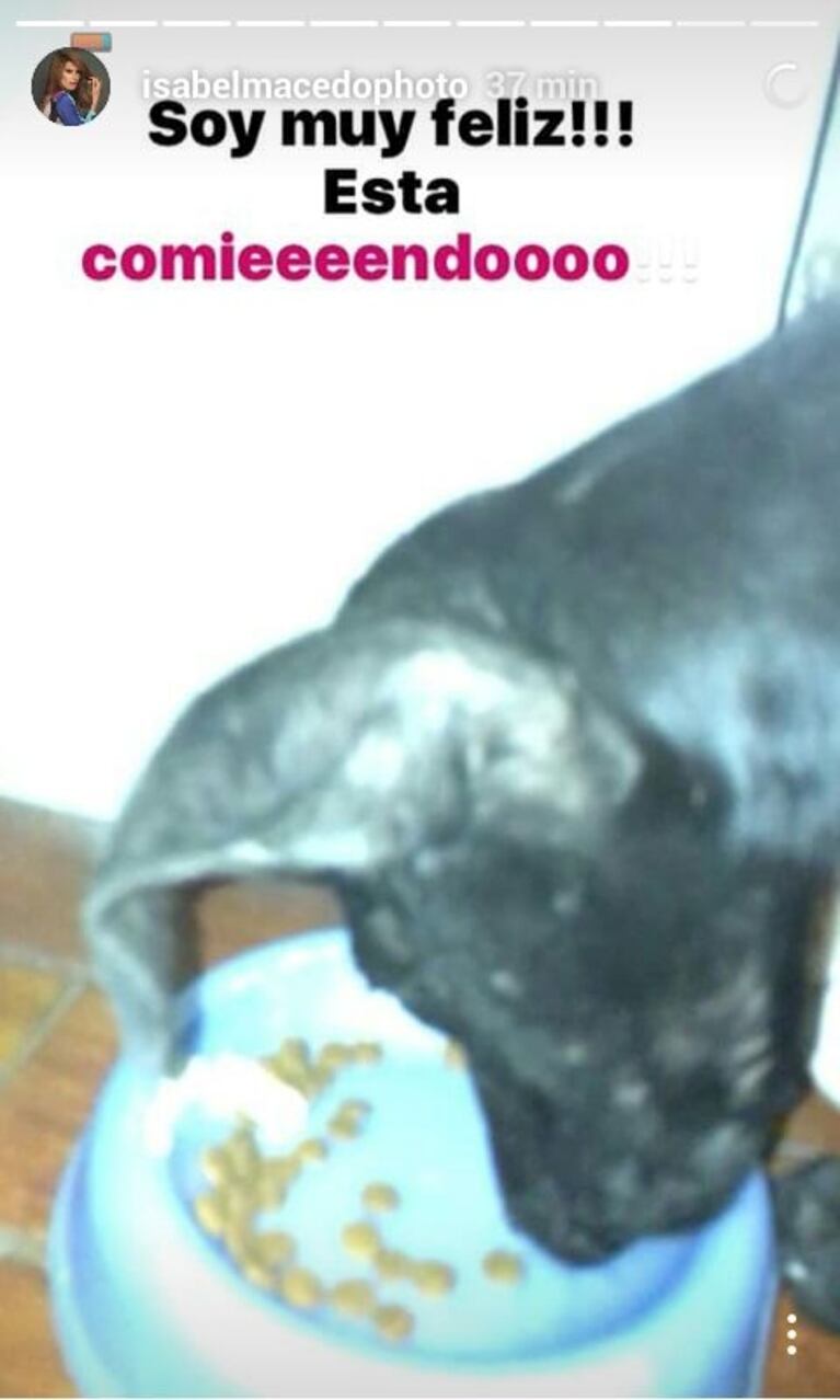 Isabel Macedo rescató a una perrita de la calle: "Estaba en un tacho de basura, muerta de frío y esquelética" 