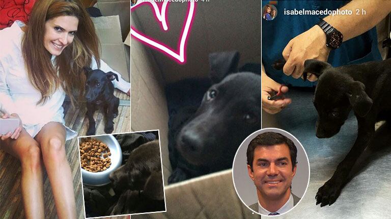 Isabel Macedo rescató a una perrita de la calle (Fotos: Instagram)