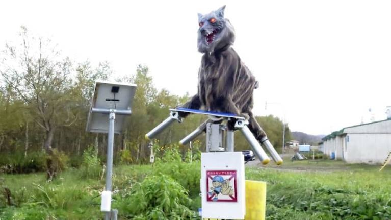 Japón: colocan monstruosos lobos robot en una ciudad para espantar a los osos