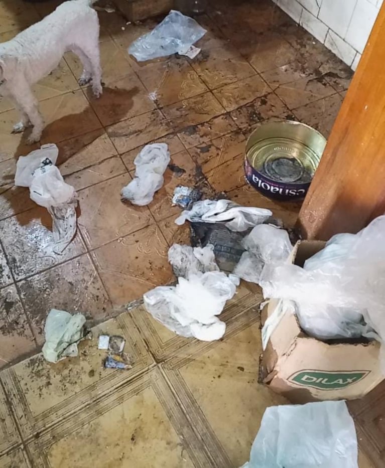 Jazmín La Cuerpo ayudó a Zulma Lobato: las fotos del abandono y la necesidad extrema de la mediática. Crédito: Instagram