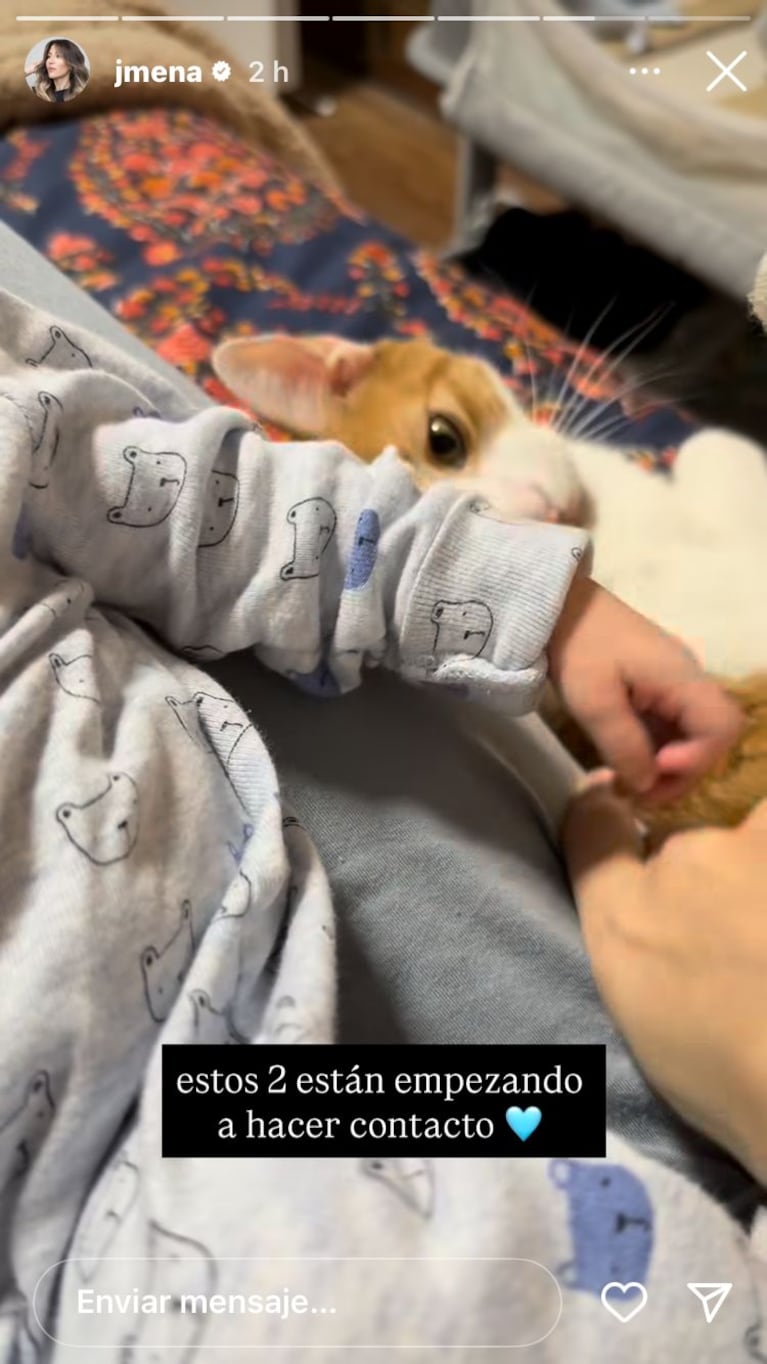 Jimena Barón, Arturo y su gato (Foto: captura de Instagram).