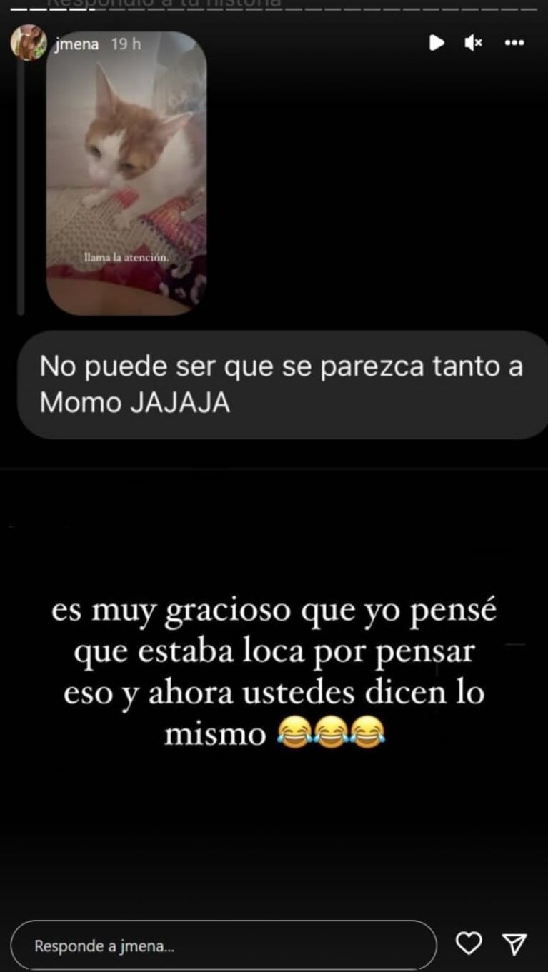 Jimena Barón aseguró que su hijo es idéntico a su gato: la foto que lo comprueba