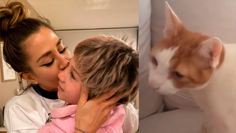 Jimena Barón aseguró que su hijo es idéntico a su gato Torino.
