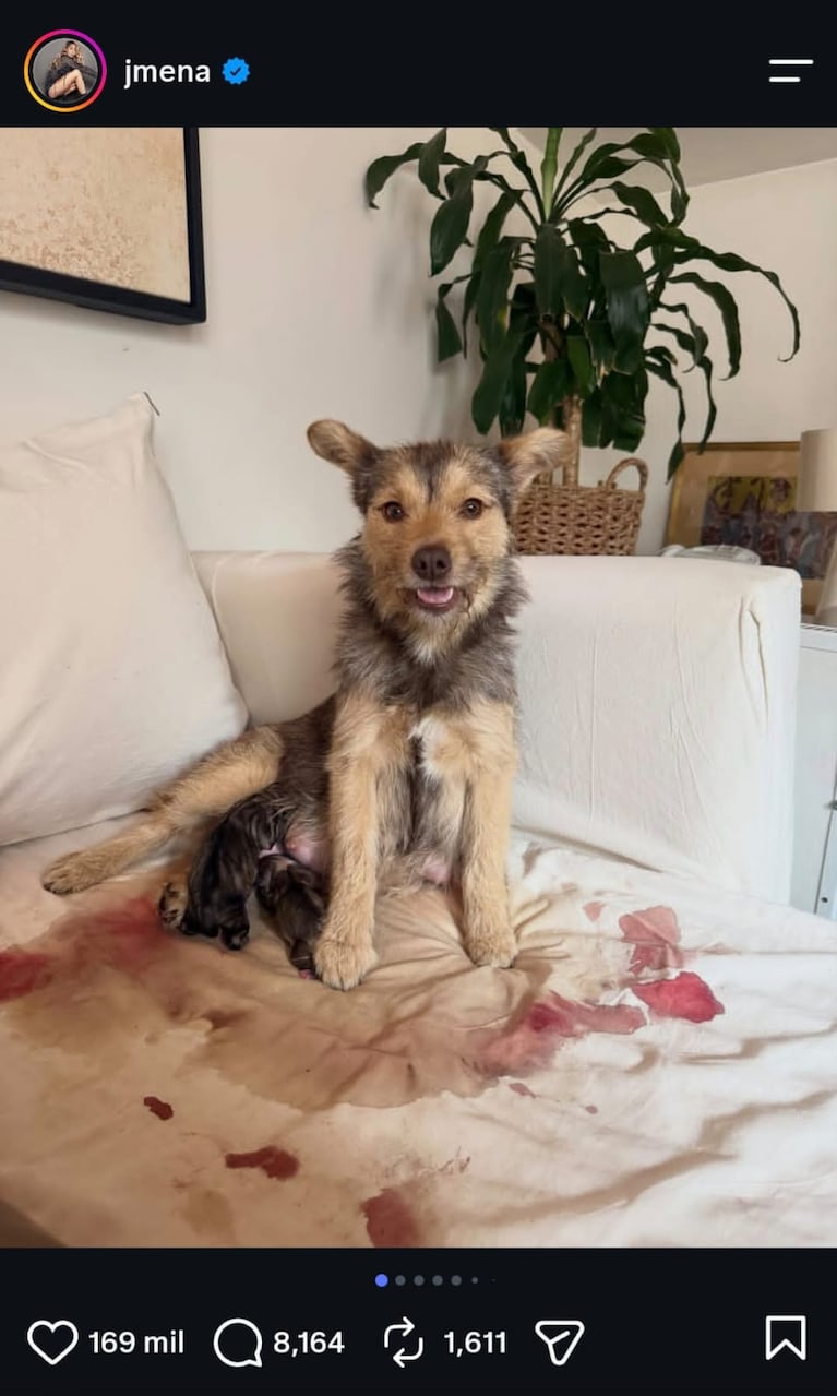 Jimena Barón fue abuela de perritos (Foto: Instagram).