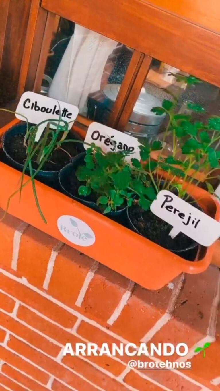 Jimena Barón le redecoró la casa a Daniel Osvaldo y le hizo una huerta: "Siempre se puede ser un poco más invasiva"