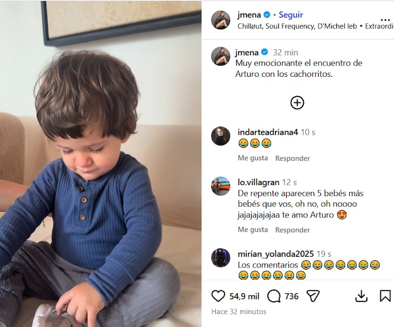 Jimena Barón mostró la reacción de su hijo Arturo ante la llegada de los cachorritos de Lucy a su casa (Foto: captura de Instagram).