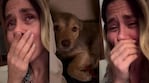 Jimena Barón se quebró en llanto al acompañar a su perrita Lucy en la previa del parto (Captura de Instagram)