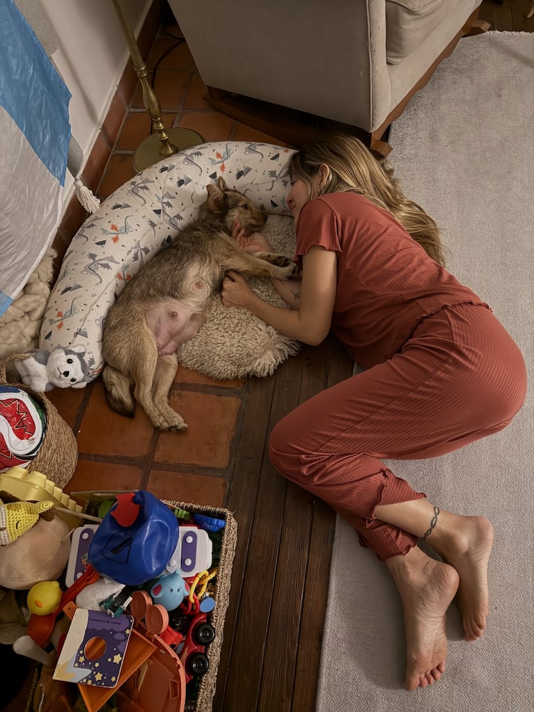 Jimena Barón ya les puso nombres a los cinco cachorritos de Lucy (Fotos del Instagram de Jimena Barón)
