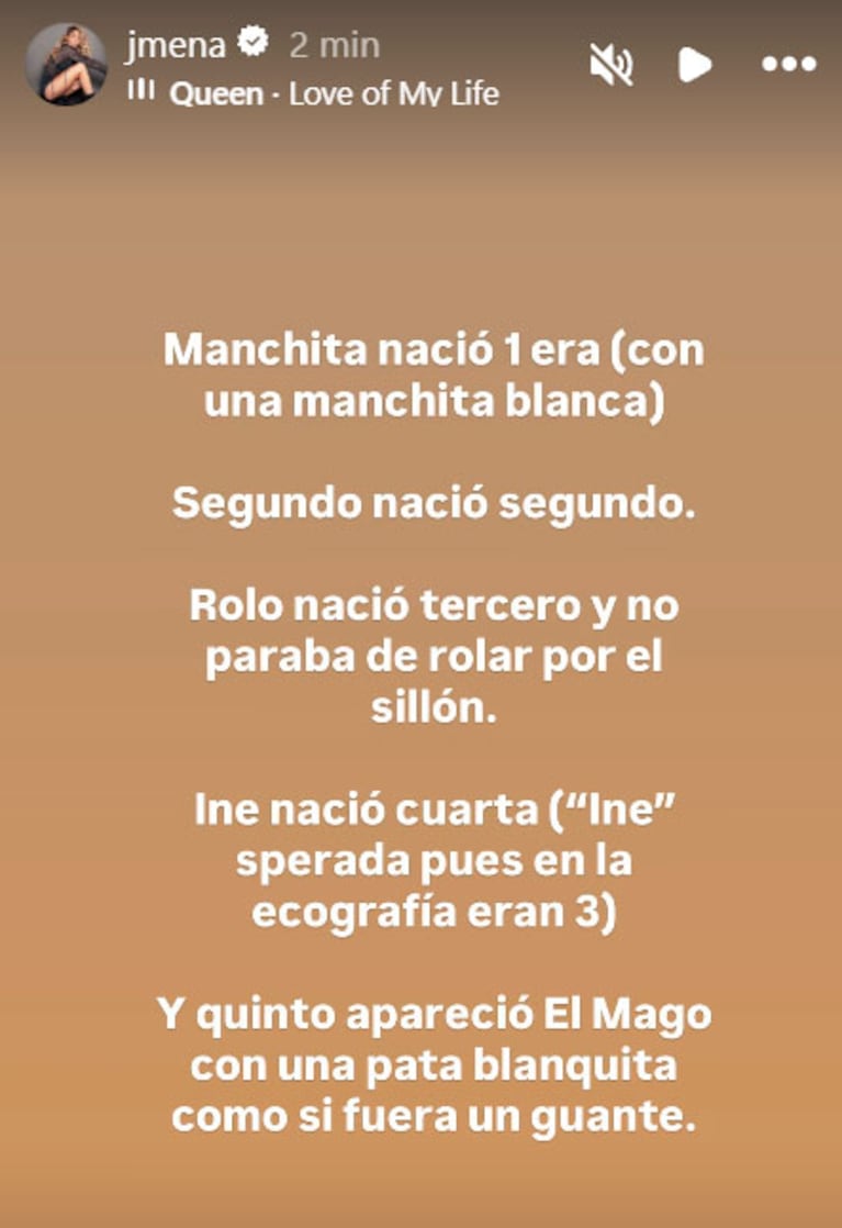 Jimena Barón ya les puso nombres a los cinco cachorritos de Lucy (Fotos del Instagram de Jimena Barón)