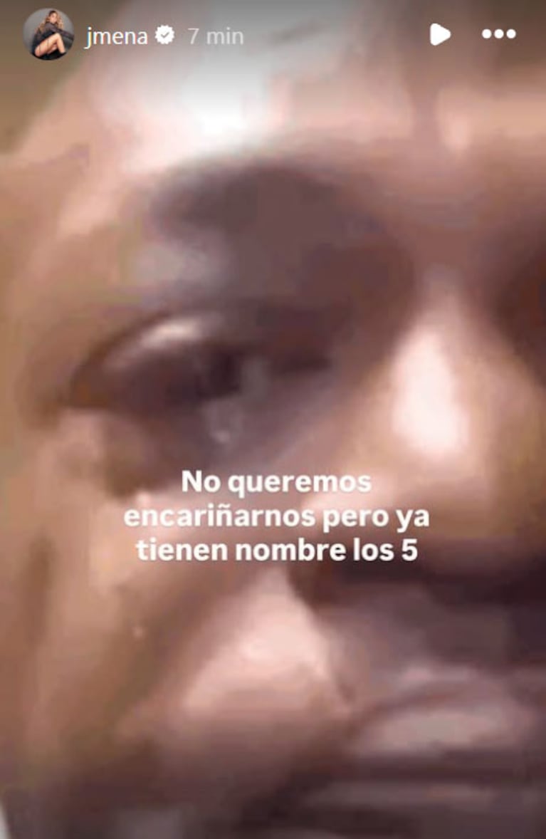 Jimena Barón ya les puso nombres a los cinco cachorritos de Lucy (Fotos del Instagram de Jimena Barón)
