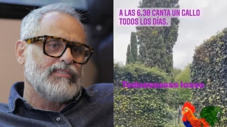 Jorge Rial estallo contra un vecino: Tiene gallinas y gallos en el jardín y es zona residencial, no el medio del campo