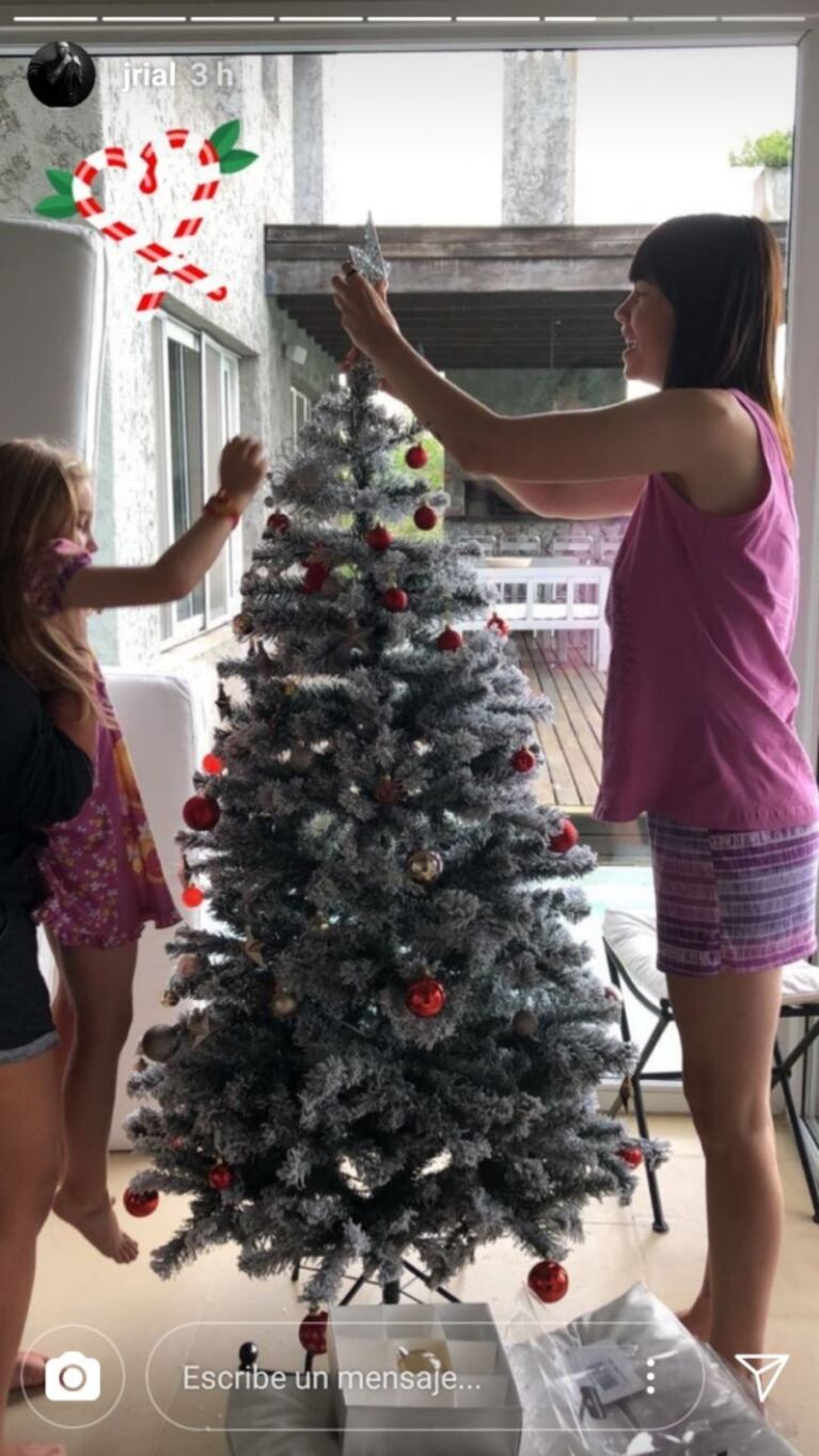Jorge Rial publicó una foto de su novia armando el arbolito de Navidad