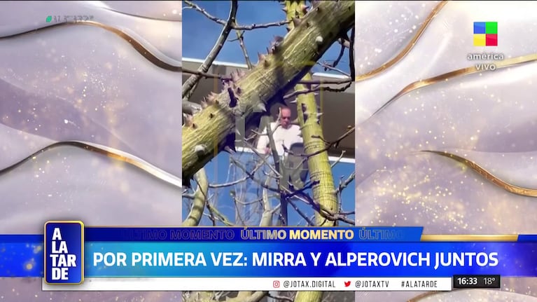 José Alperovich en su prisión domiciliaria en Puero Madero (Foto: captura de América).