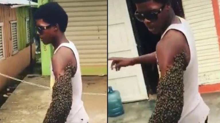 Joven impacta al trasladar a todas las abejas de una colmena en su brazo