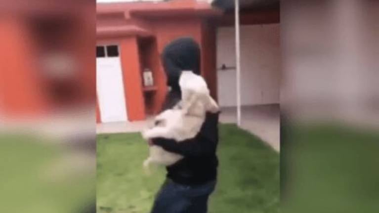 Joven le enseña a su perrito cómo pedir ayuda si intentan raptarlo