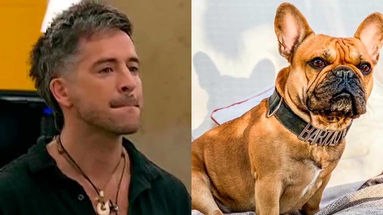 Juan Pabvlo y sus perros en Gran Hermano (Fotos: capturas Telefe)