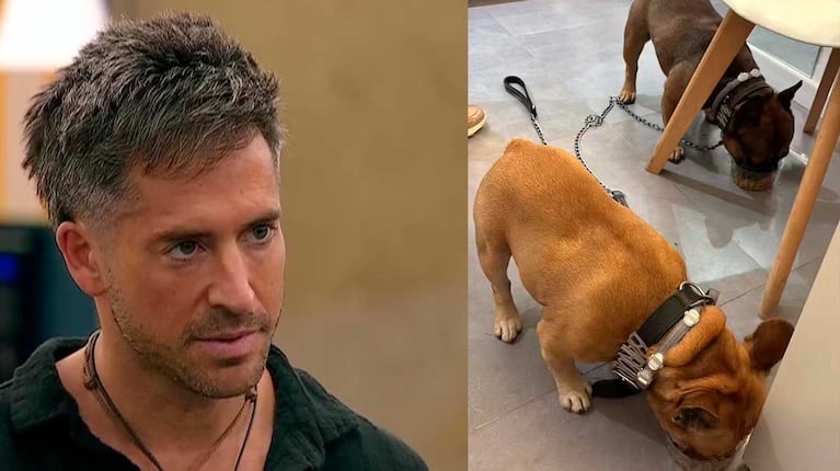 Juan Pabvlo y sus perros en Gran Hermano (Fotos: capturas Telefe)