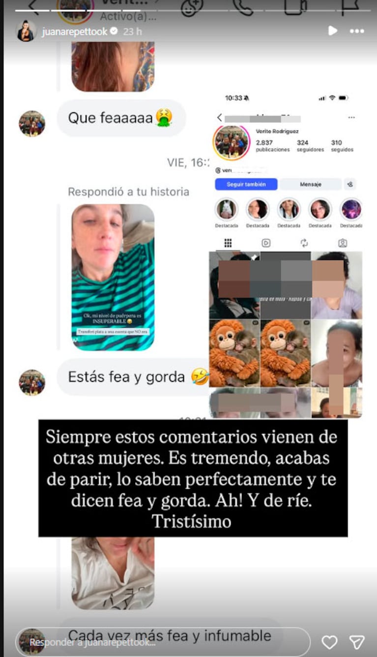 Juana Repetto se hartó y expuso a una mujer que la acosa en redes (captura de Instagram)