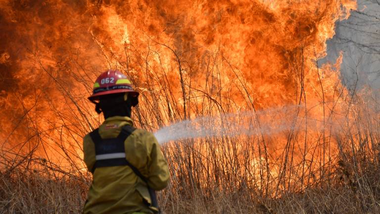 Jujuy y Neuquén continúan afectadas por incendios forestales