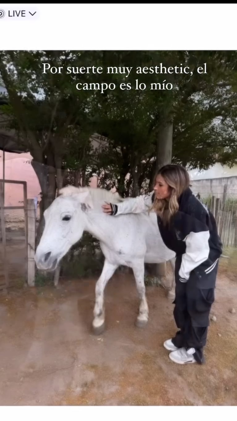 Julieta Poggio fue a acariciar a un caballo y recibió una tremenda patada