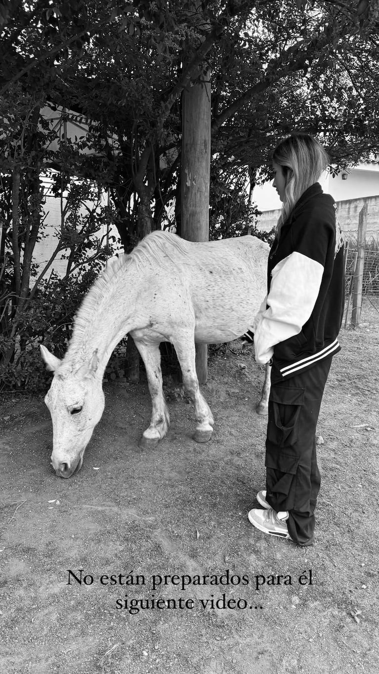 Julieta Poggio fue a acariciar a un caballo y recibió una tremenda patada