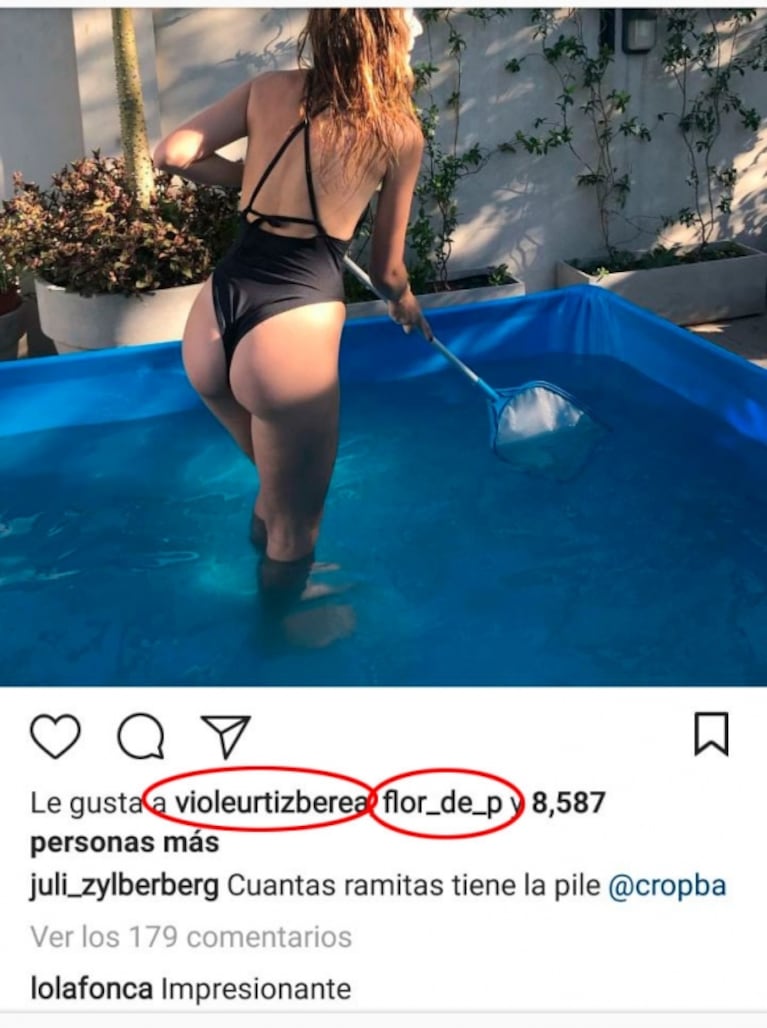 Julieta Zylberberg, una piletera muy sexy que revolucionó las redes: "Cuántas ramitas tiene la pile" 