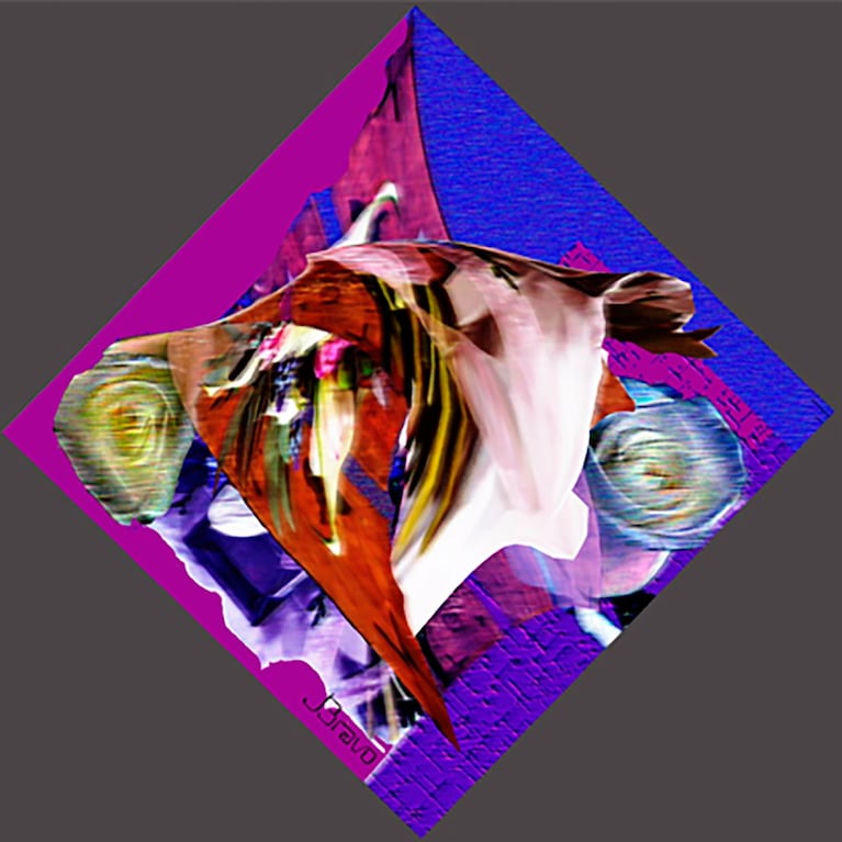 Julio Bravo y sus obras de arte.