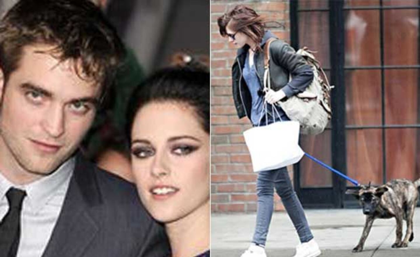 Kristen Stewart y Robert Pattinson ahora pelean por su perro. (Fotos: Web)