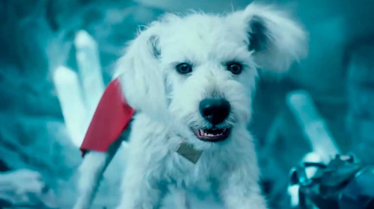 Krypto (Foto: gentileza Warner Bros. )