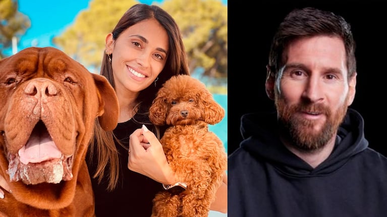 La angustia de Lionel Messi por su perro Hulk, que no pudo viajar con él a Miami por sus problemas de salud.