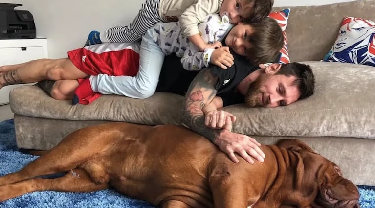 La angustia de Lionel Messi por su perro Hulk, que no pudo viajar con él a  Miami por sus problemas de salud | Ciudad Magazine