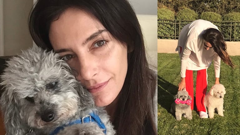 La angustia de Luciana Aymar por la muerte de su perrito, tras 16 años a su lado.