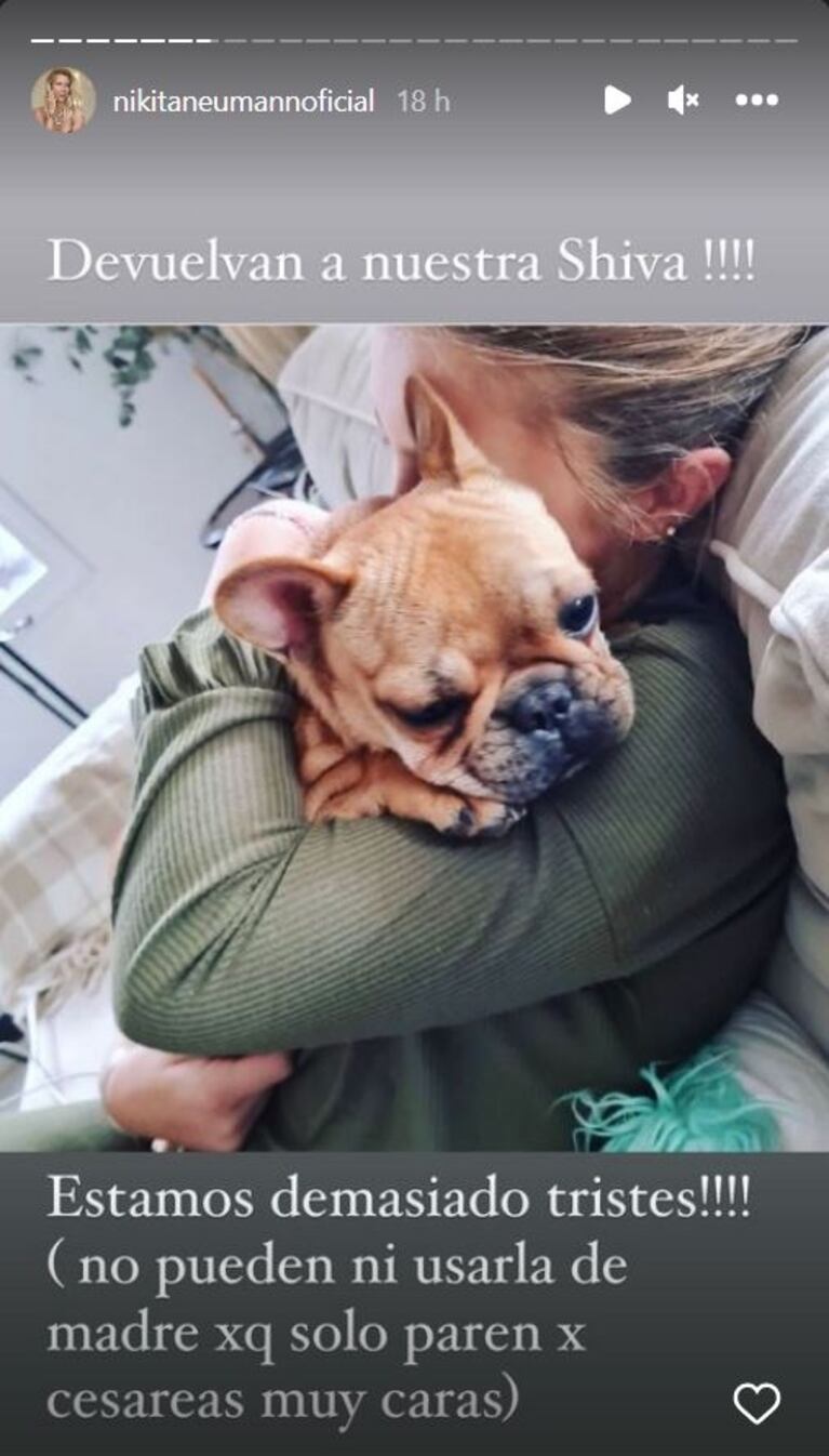 La angustia de Nicole Neumann: le robaron la perrita y pide ayuda urgente