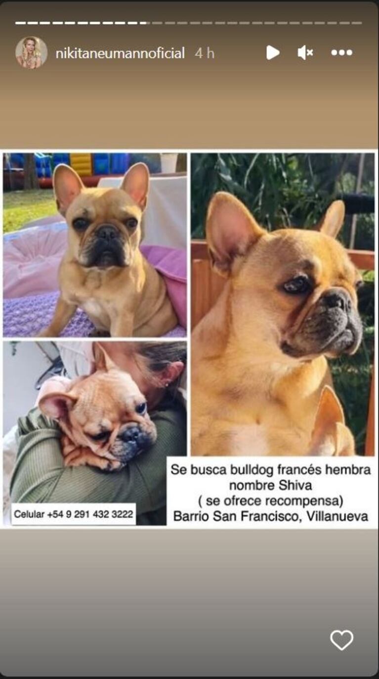 La angustia de Nicole Neumann: le robaron la perrita y pide ayuda urgente