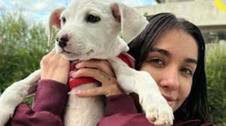 La artista es conocida por ser fiel defensora de animales en situación de vulnerabilidad.  Crédito Web