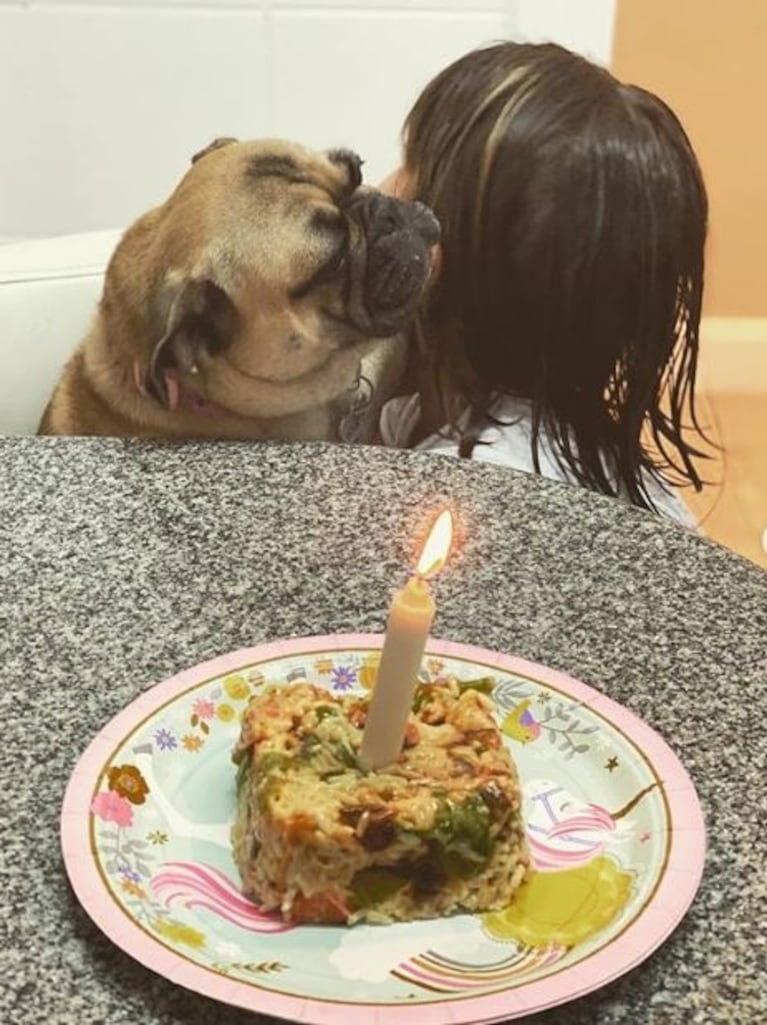 La China Suárez le festejó el cumpleaños a su perrita Antígona ¡con una torta vegetariana!: "Te amamos"