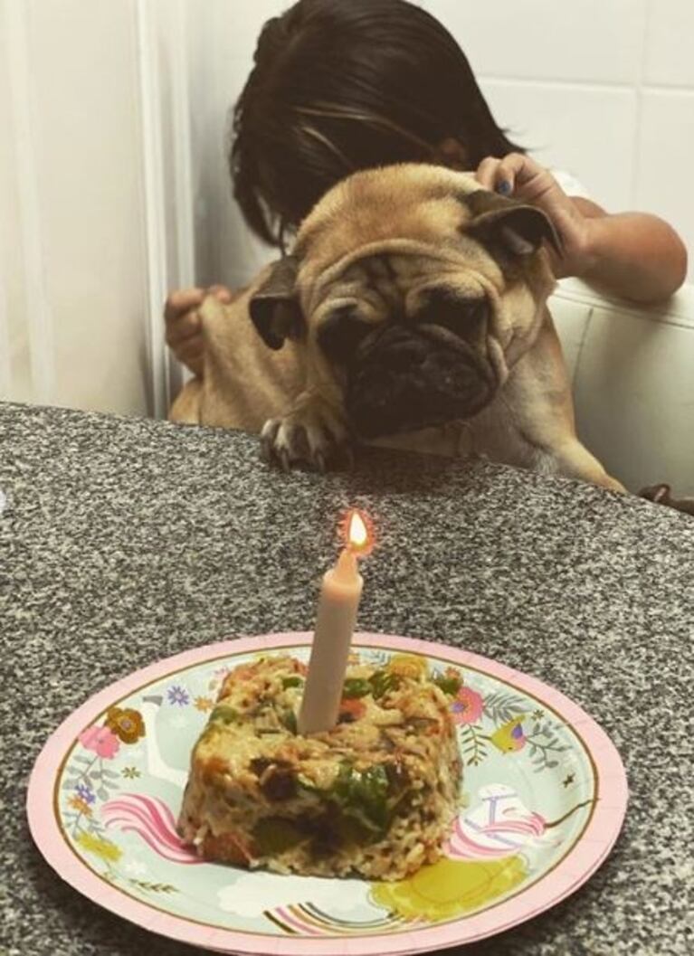 La China Suárez le festejó el cumpleaños a su perrita Antígona ¡con una torta vegetariana!: "Te amamos"