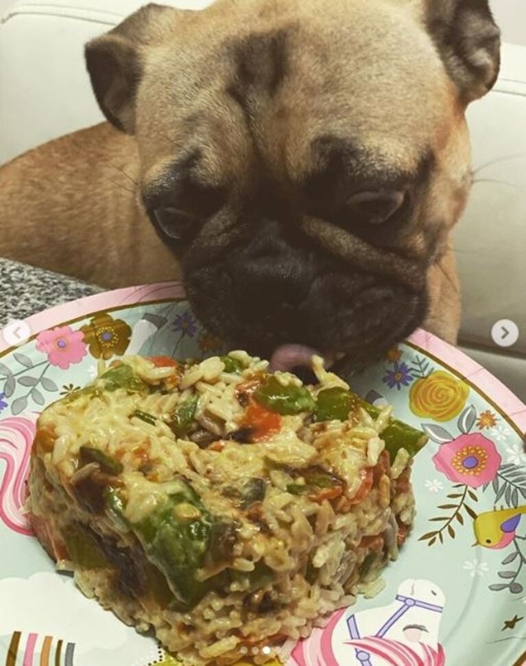 La China Suárez le festejó el cumpleaños a su perrita Antígona ¡con una torta vegetariana!: "Te amamos"
