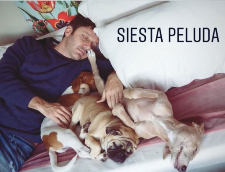 La China Suárez mandó al frente a Benjamín Vicuña con una foto de entrecasa: "El que no quería perros arriba del sillón"