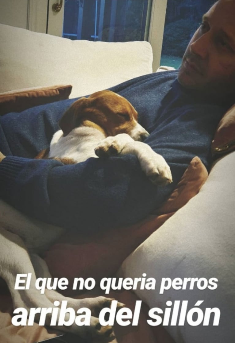 La China Suárez mandó al frente a Benjamín Vicuña con una foto de entrecasa: "El que no quería perros arriba del sillón"