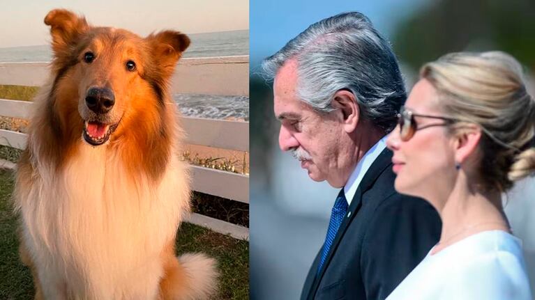 La CM de Dylan causó indignación tras el escándalo con Alberto Fernández y Fabiola Yáñez: su foto viral