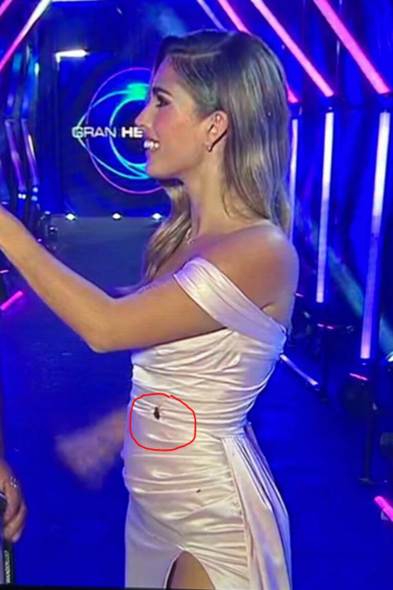 La cucaracha descolocó a Julieta Poggio. (Captura: TN)