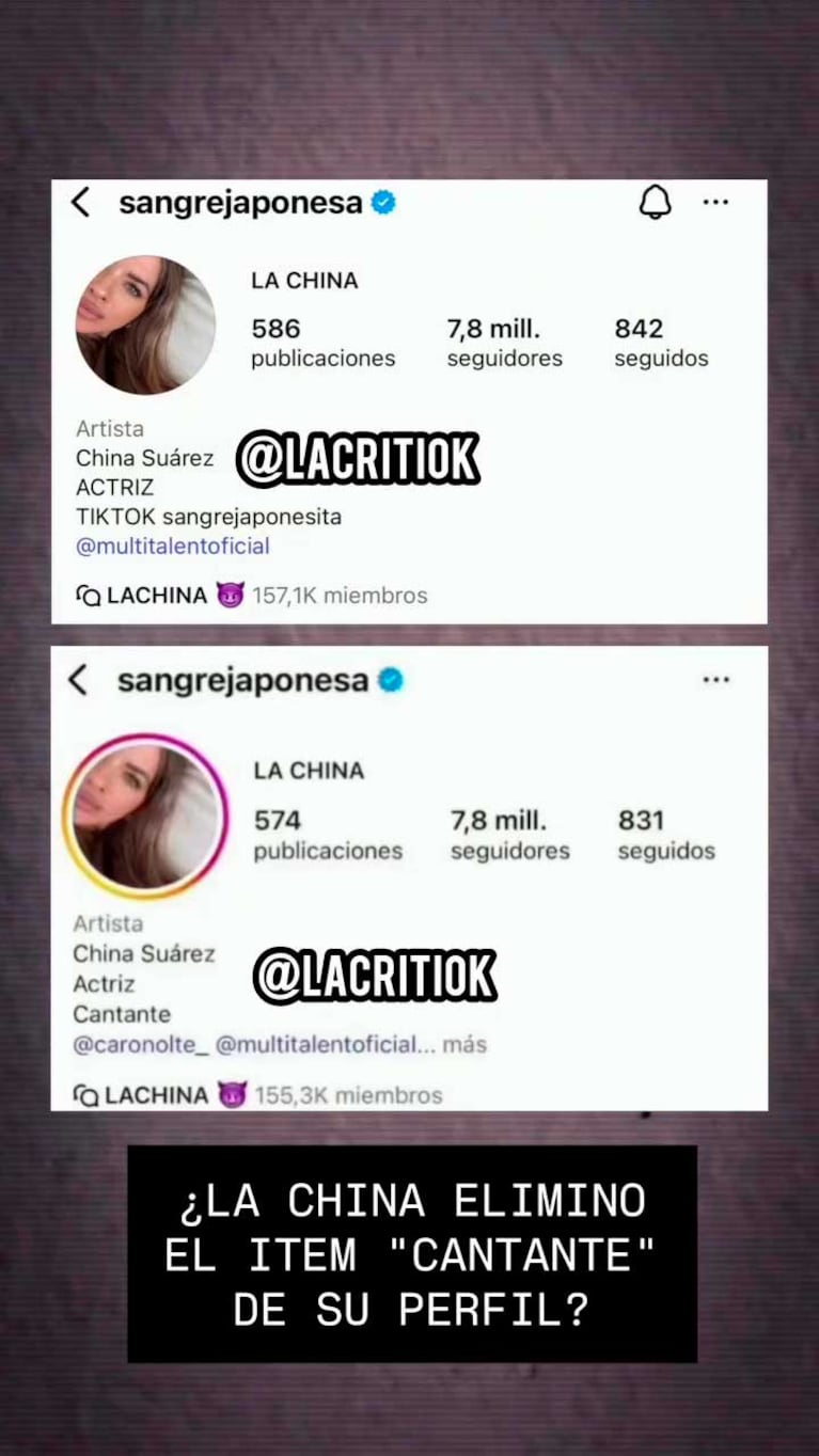 La decisión que tomó la China Suárez con su carrera (Foto: captutas Instagram @lacritiok)