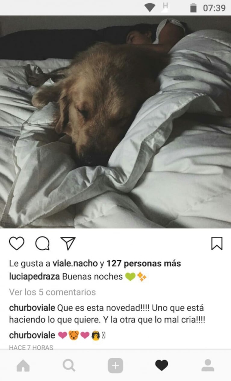 La divertida queja de Nacho Viale al ver a su novia durmiendo con su perro: "Uno hace lo que quiere y la otra lo malcría"