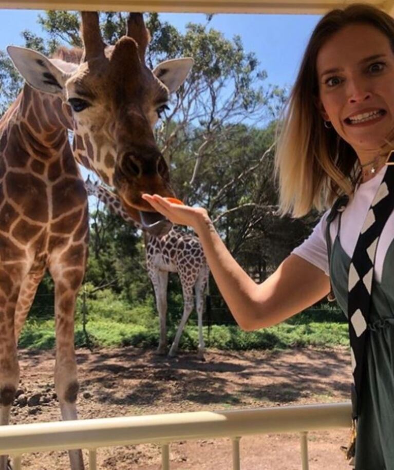 La divertida secuencia de Luisana Lopilato con una jirafa: "Al final nos hicimos mejores amigas"