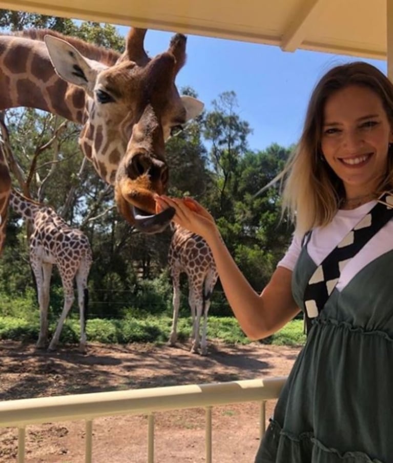 La divertida secuencia de Luisana Lopilato con una jirafa: "Al final nos hicimos mejores amigas"