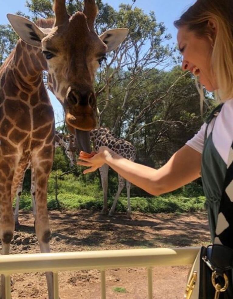 La divertida secuencia de Luisana Lopilato con una jirafa: "Al final nos hicimos mejores amigas"